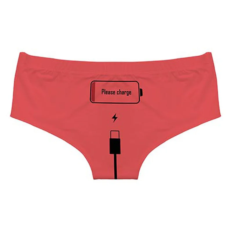 Funny PLEASE CHARGE PANTIES Women's Low Rise Briefs Graphic Printed Novelty  Gift