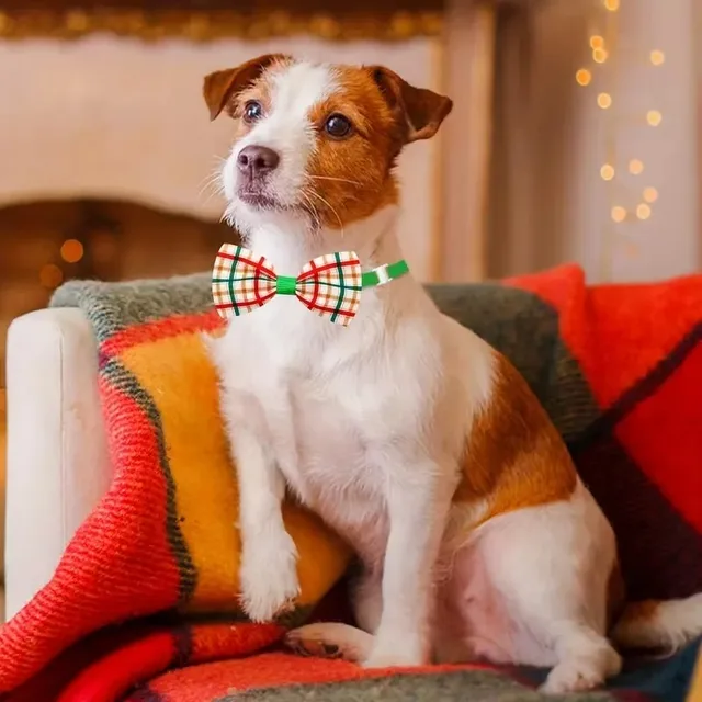 Christmas Dog Bow Tie Collar Holiday Pet Accessory with Bowknot Perfect for Dogs Ideal for Christmas and Special Celebrations 2