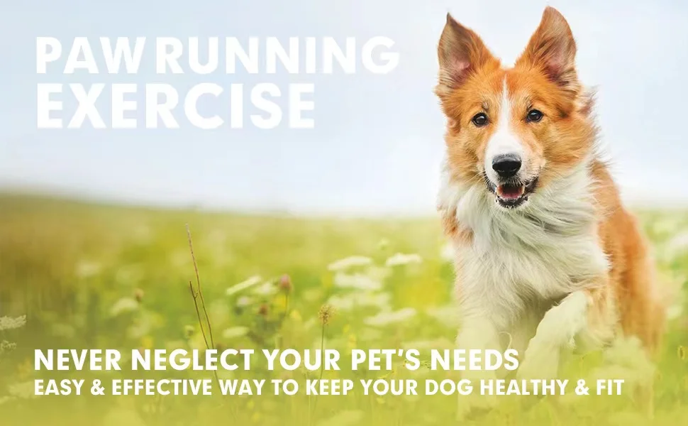 Paw running exercise is an easy way to keep your dog healthy and fit. Never neglect your pet's needs with this smart dog exercise toy that encourages chasing and promotes a fitter lifestyle.