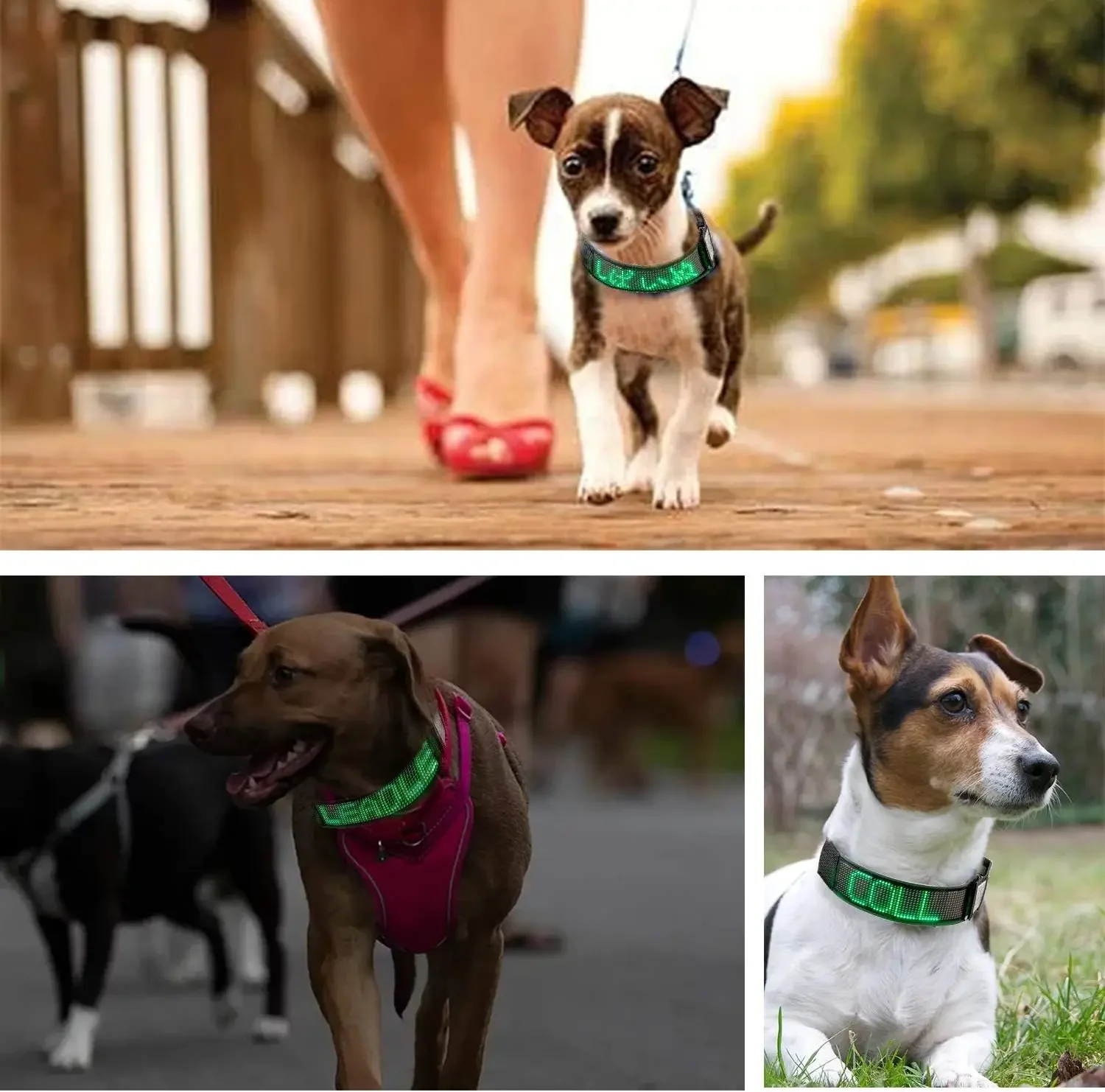 LED Dog Collar Programmable Flashing Light Up Rechargeable Pet Dog Safety Collar Glow in The Dark Light-up Neck Loop