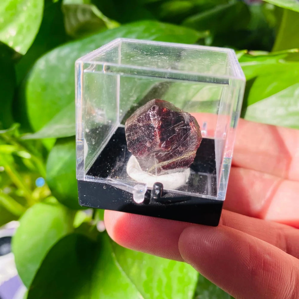 Red Garnet
