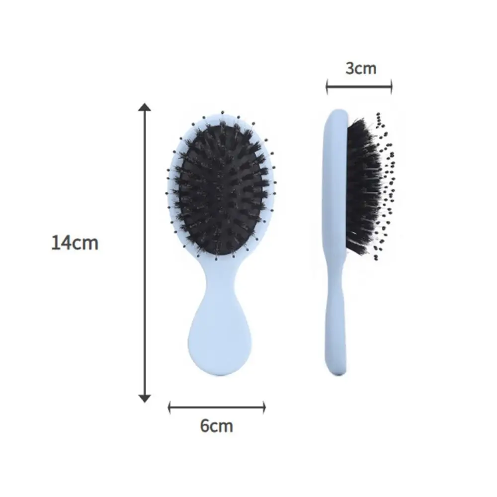Cute Mini Paddle Brush Pig Bristle Lightwear Hair Comb Frosted Matte Massage Comb Holiday Vocation