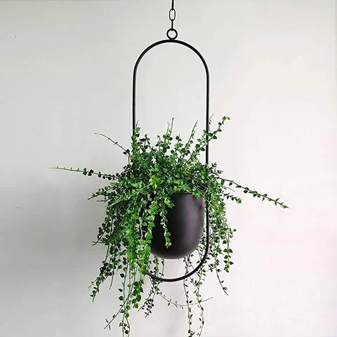 

Iron Flower Pot Hangers Nordic Hanging Planter Chain Wall Hanging Planter Basket Plant Holder for Garden Balcony Home Decoration