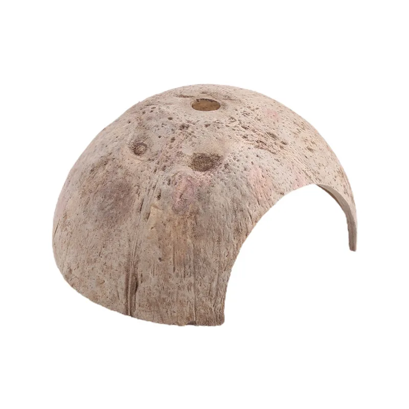 Natural Coconut Shell Cave 2