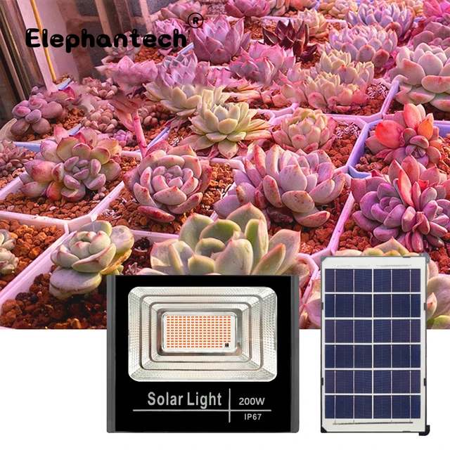 LED Full Spectrum Phyto Lamp 200W Solar Grow Light Floodlight Plants  Flowers LED Greenhouse Garden Cultivo Hydroponic - AliExpress