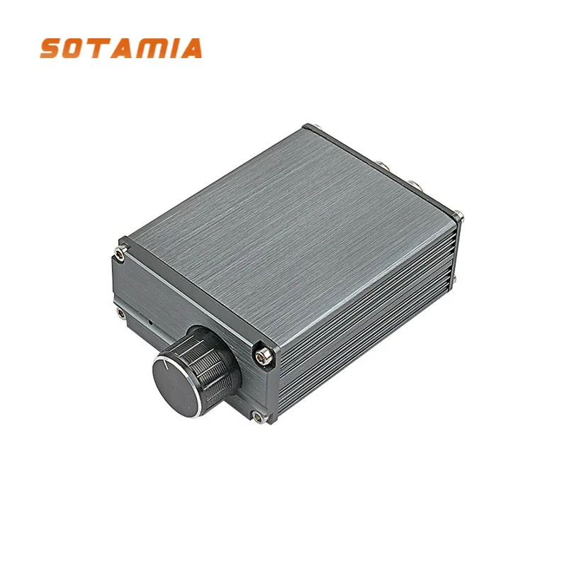 SOTAMIA 100W TPA3116D2 Power Mono Amplifier Board Hifi Subwoofer Amplifier Board Digital Mini Amp DIY Smart Home Amplificador