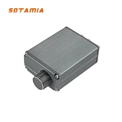 SOTAMIA 100W TPA3116D2 Power Mono Amplifier Board Hifi Subwoofer Amplifier Board Digital Mini Amp DIY Smart Home Amplificador