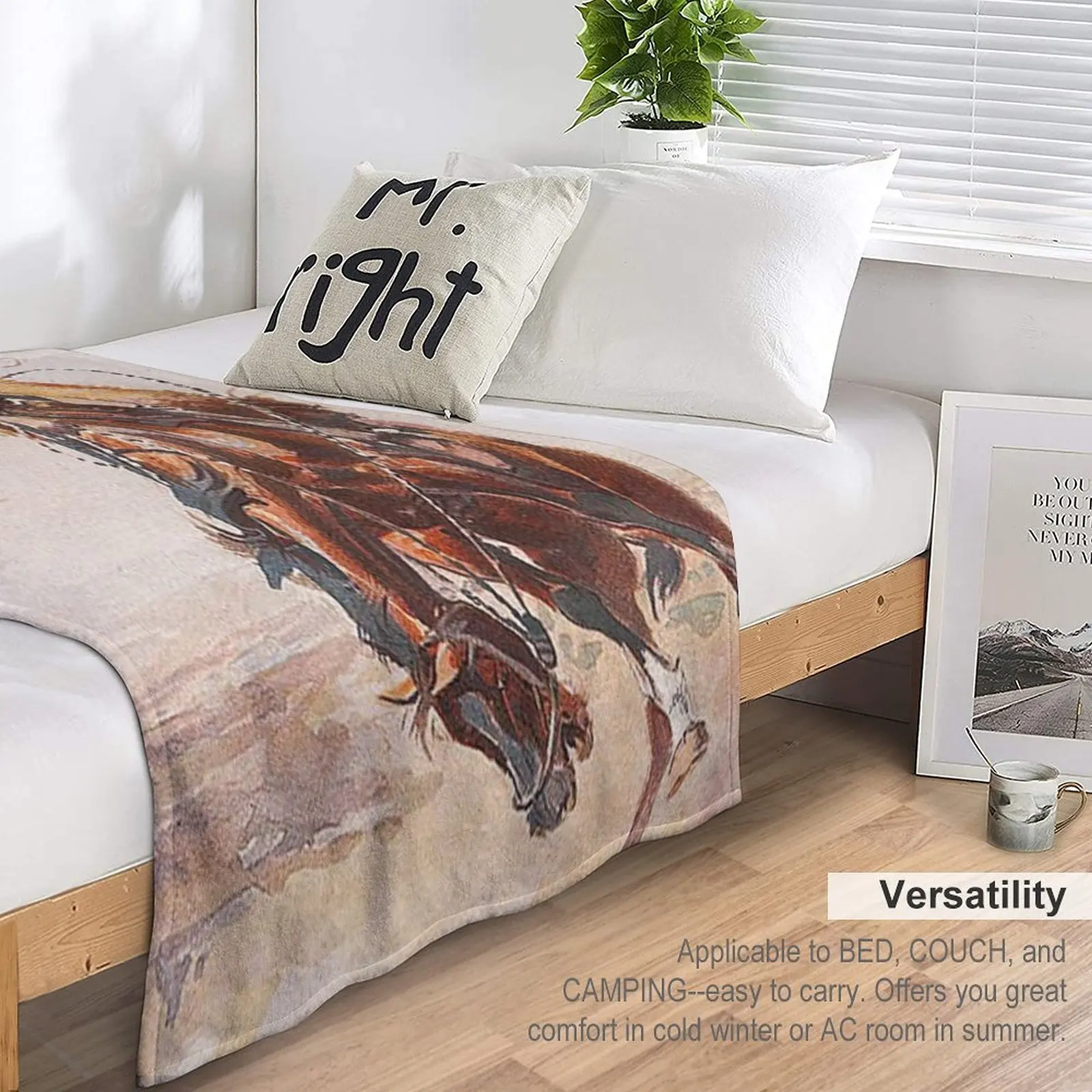 ī�캸�� ������ ���ο� ���, ���� ���,  �����̳� ���