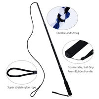 Pets Toys Interactive Dog Toys Extendable Flirt Pole – Fun and Exercise for Dogs