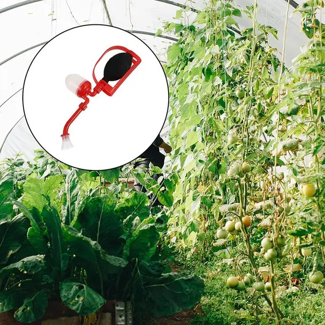 Gyümölcs Beporzó Professzionális Paradicsom Virág Kertporpor Gépi Növényi Szerszám Kiwi Körte Őszibarack - Image 4