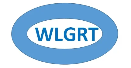 WLGRT 전기 워터 펌프, BMW E60 E61 E71 E82 E88 E90 E92 F01 F02 F10 용, 11517632426 신제품