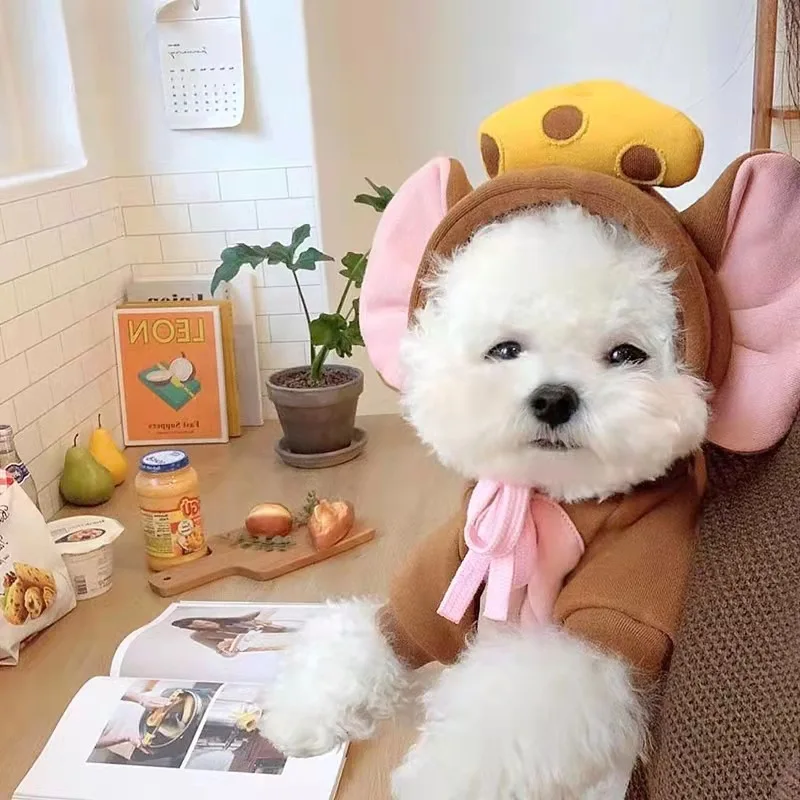 Déguisement Wapiti, Grenouille ou Carotte : Sweat à Capuche Amusant pour Petit Chien - 2025 - Vêtement et accessoires pour chiens - Doglovedesign