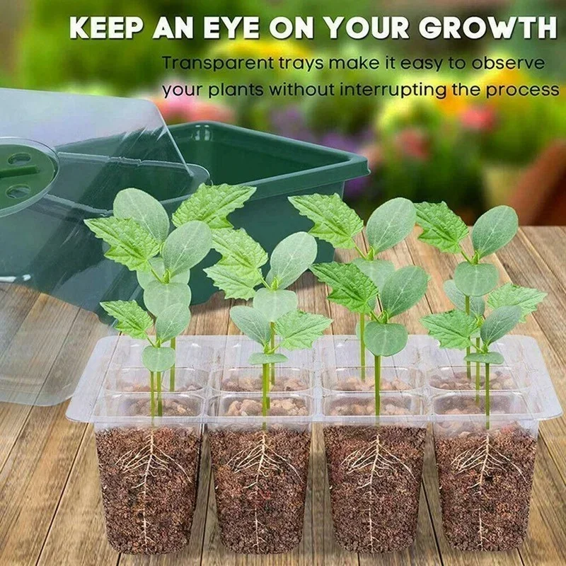 Seed Starter Tray with Lid - Gardening Germination Kit