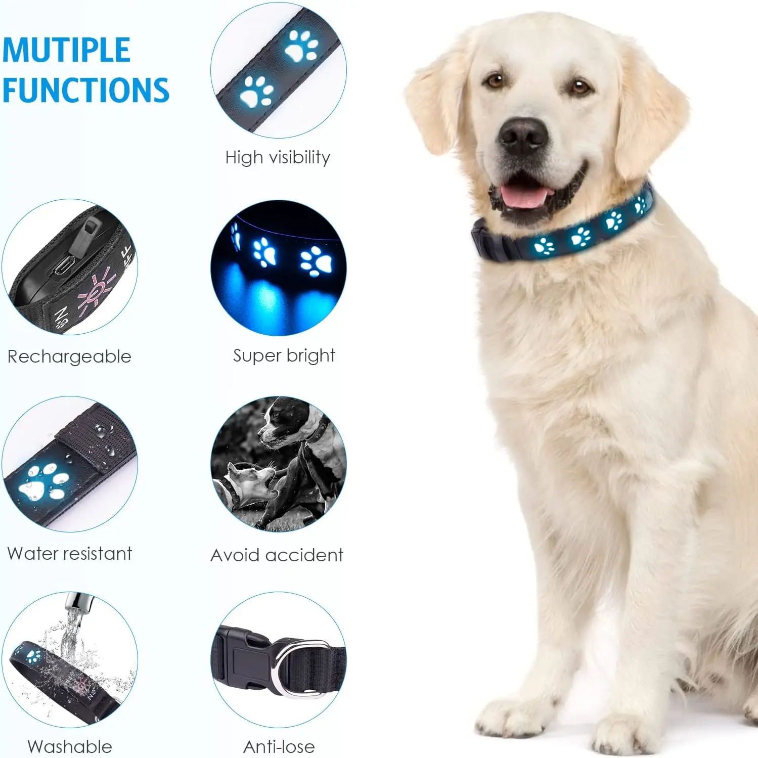 Pet Led Collar