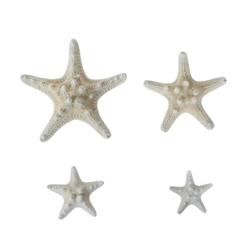 2-14cm Natural Starfish Seashell Beach Craft Natural Sea Stars DIY Beach Wedding Decoration Crafts Home Decor Epoxy natural shell ornaments resin starfish ornaments