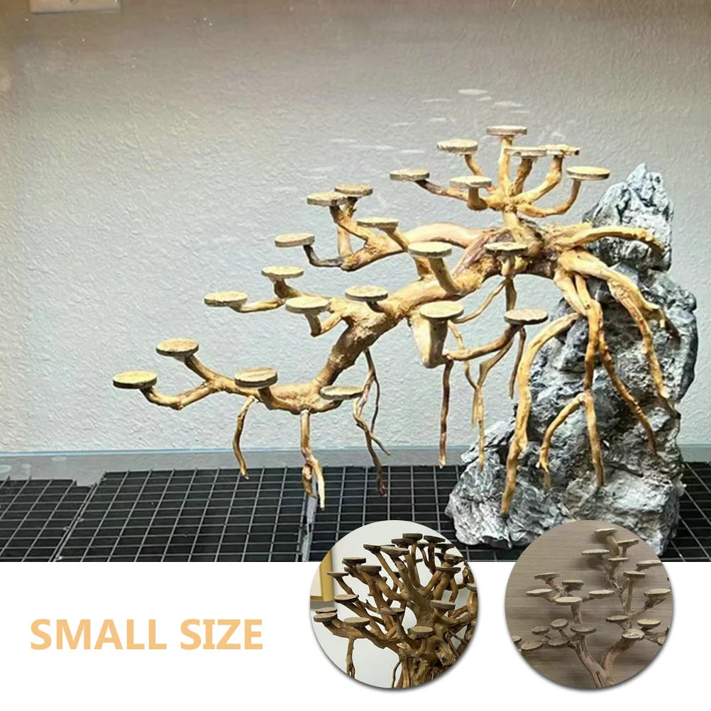 50Pcs Coconut Shell Discs Coconuts Shell For Crafts Round Coconuts Fish Tank Ornaments Chip Fish Tank Decor fish tank ornaments fish tank decorations aquarium ornaments