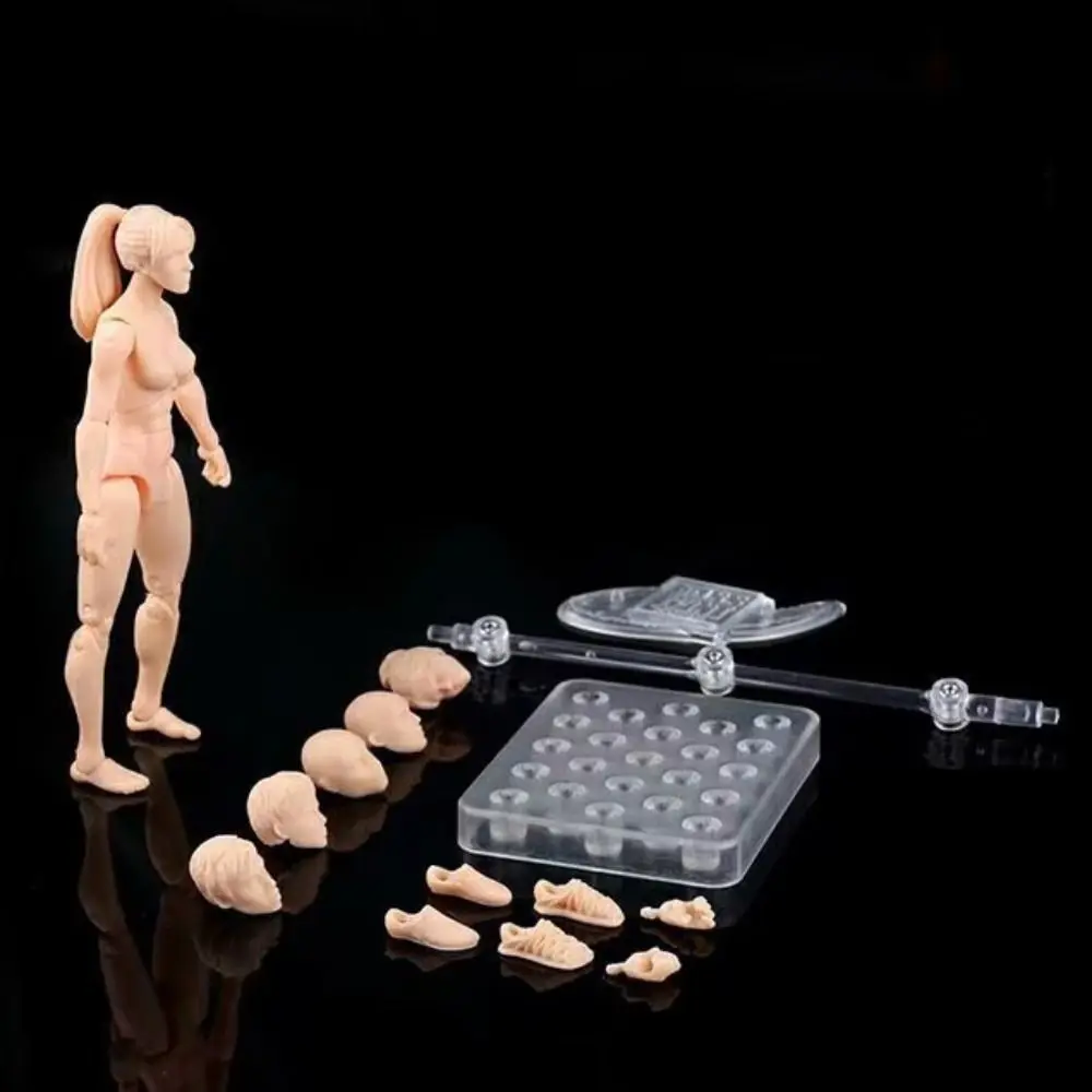 관절 가동 액션 피규어 스킨 누드 수제 탈부착 가능 남녀 공용 바디 관절 가동 ..