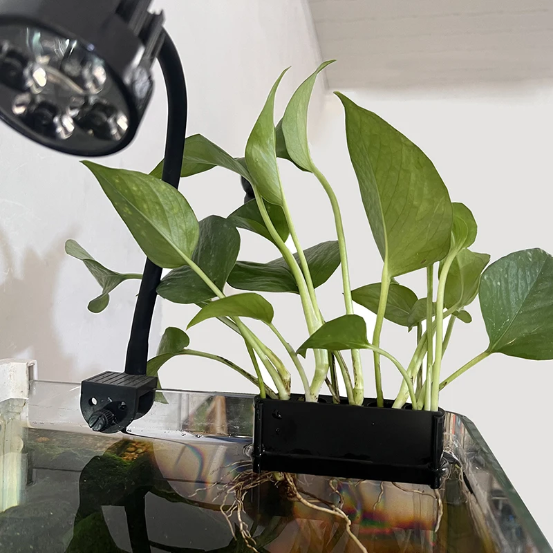 Fish Tank Plants Aquarium Plant Holder Fixed Holder Hanging Aquatic Planter Emersed Green Plant Pot With Hole 1pc