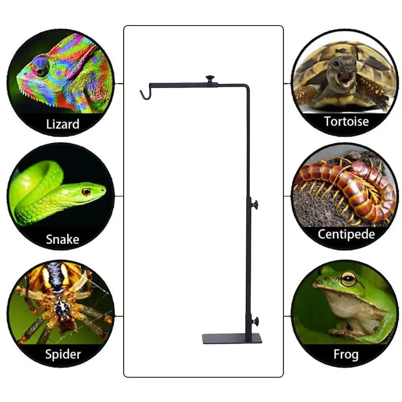 Climbing Pet Lamp Stand Tortoise for Turtle Drying Backlight Cover Adjustable Bracket