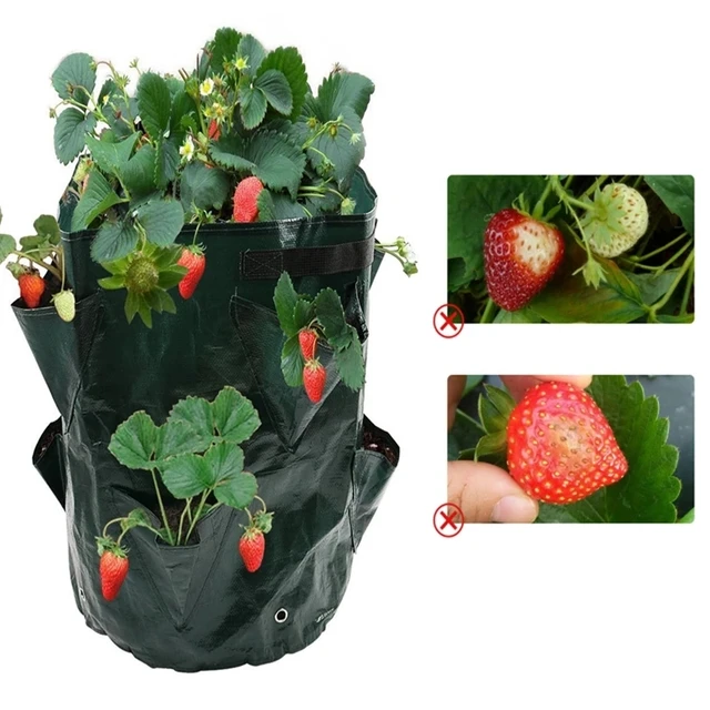 5/7/10 Gallon Multi-Szájú Táska Eper Paradicsom Ültetési Táskák Újrafelhasználható Ültetvényes Edények Kerti Zöldség Virág Gyógynövény Ültetvény - Image 2