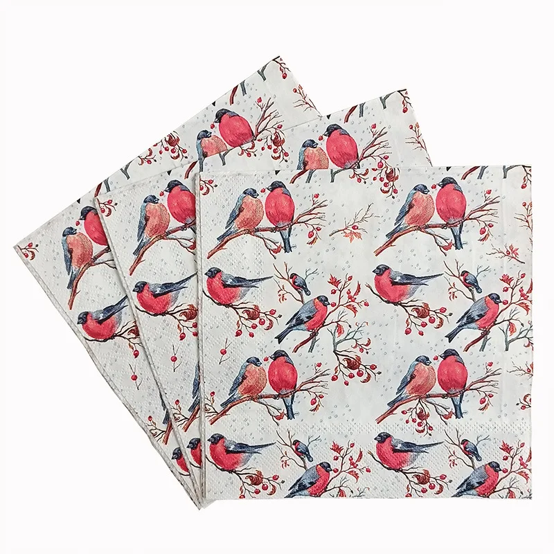 Paper Napkins Placemats 10/20pcs 33cm 2-Ply Colourful Printed
