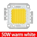 LED 50W  Warm White