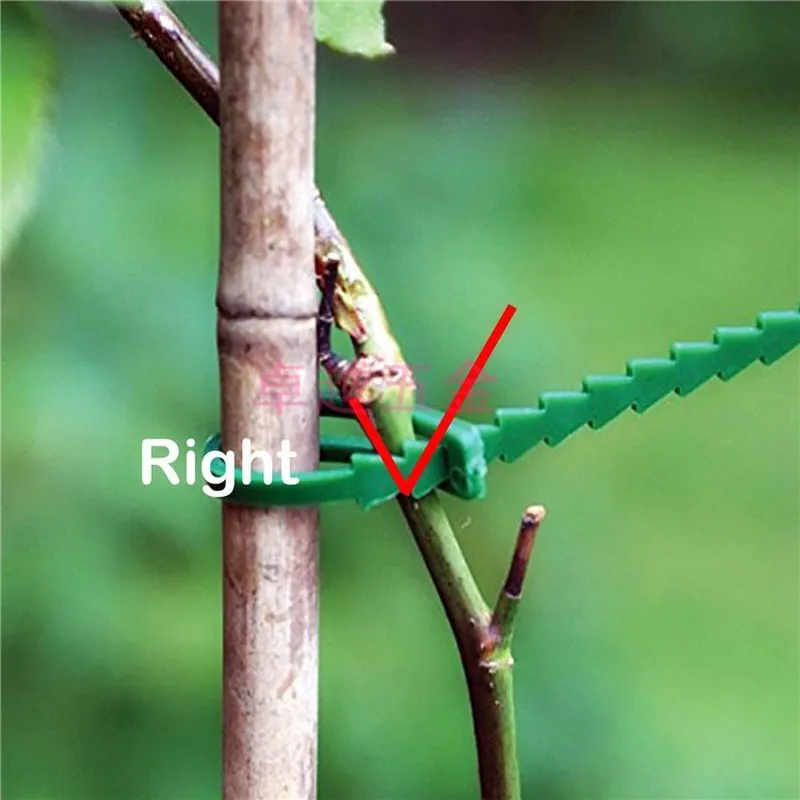 50pcs! Plant Tie Bands Vine Fixed Farming Clip Garden Plant Fruit Vegetable Fastening Support Clips for Trellis Twine Greenhouse