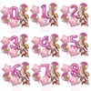 6pcs/set Paw Patrol Pink Skye Puppy Number Balloon Little Girl Foil Ballon for Baby Kids Girl Birthday Party Decoration Supplies 1