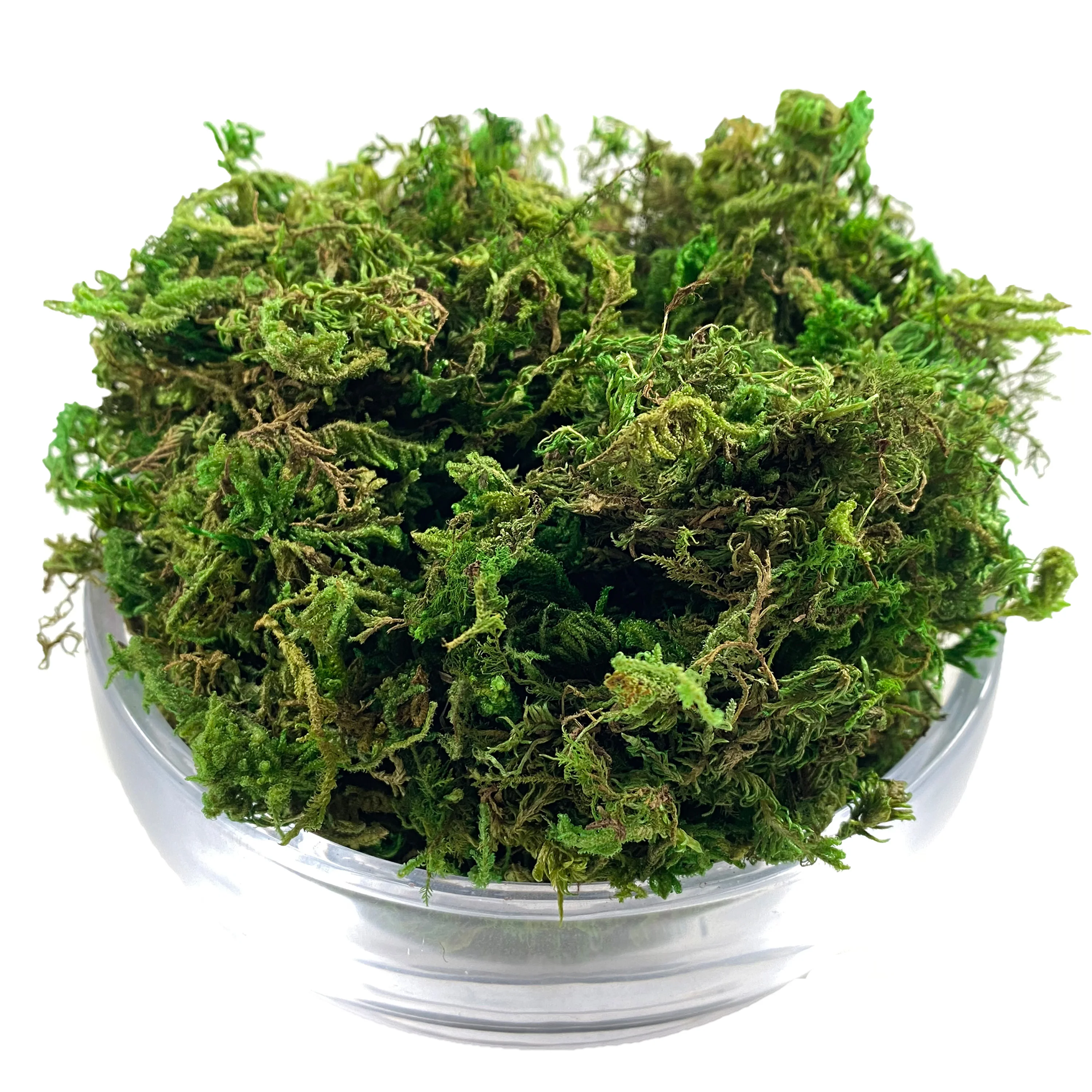 Artificial Fake Moss, Craft Moss for Potted Plant Centerpieces Decor