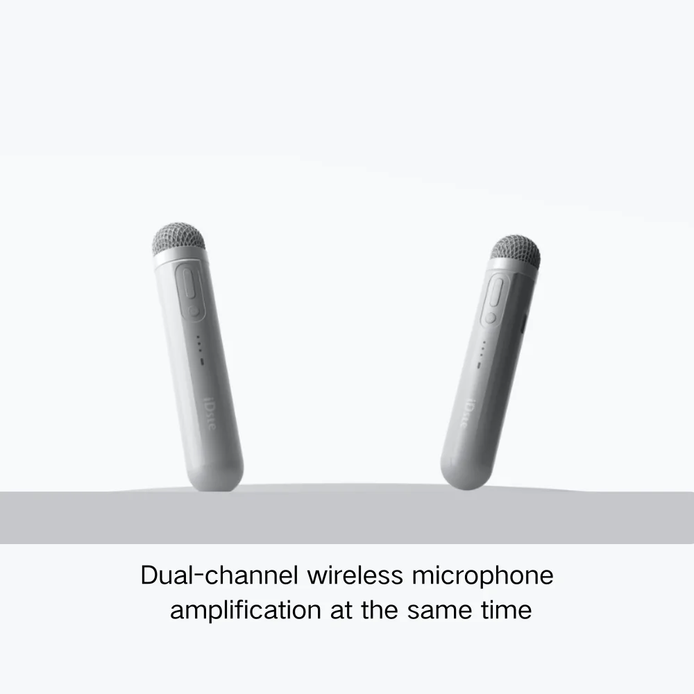 Wireless Microphone Set, Dual Handheld Dynamic Mic with Rechargeable Receiver, for School, Voice Amplifier, PA System