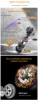 Cold Pressing Oil Press Auger Pressed Hot High Yield Mashine Screw Home Appliance Stainless Steel Material Kitchen Oils 5