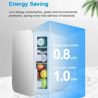 Mini réfrigérateur de voiture électrique portable, glacière pour la maison, le camping, le voyage, 6l, 12V, DC 220V, AC, beauté, plus chaud 5