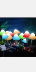  Outdoor Solar Garden Lights