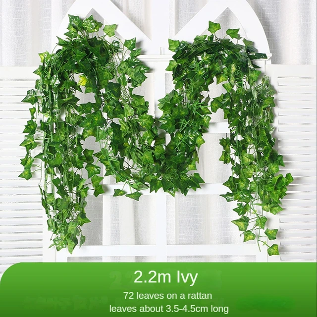 1Pc Lvy