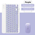 Purple-and mouse