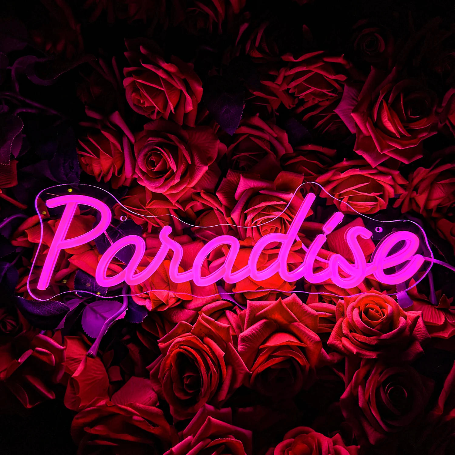 17"x14"Papagei Palme Regenbogen Neon Sign Heim Zimmer Wandbehang