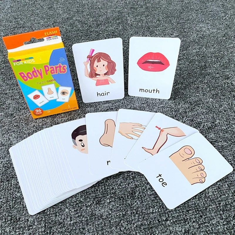 36pcs Children Cognition Cards Body Parts Animal Fruits Double Side Flashcards Montessori Baby Kids Early Educational Toys Gifts 2