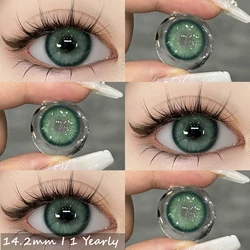 Vibrant Fashion Yearly Colored Contact Lenses - Blue & Gray Options (Semporna-Green)