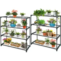 Greenhouse Shelving Staging Double 4 Tier, Outdoor / Indoor Plant Shelves, 1