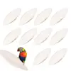 10Pcs Bird Cuttlebone for Parakeets Natural Cuttlebone for Tortoises Snails Cuttlefish Bone Chew Toy Bird Calcium Stone 9-12cm 1