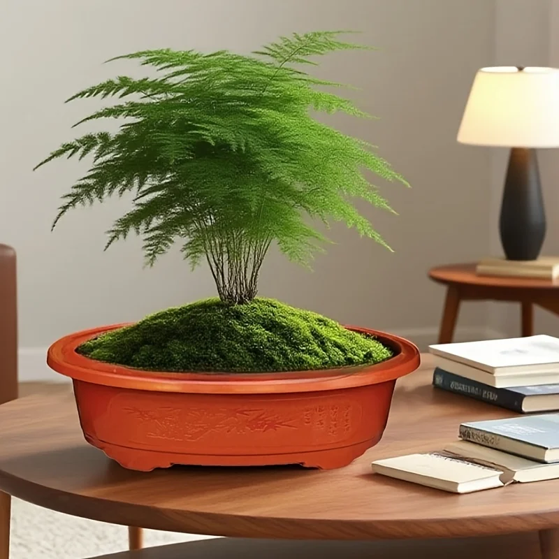 2 large oval plastic flower pots for indoor plant cultivation. Decorative flower pots for indoor plants. - 2