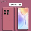 Camellia Red