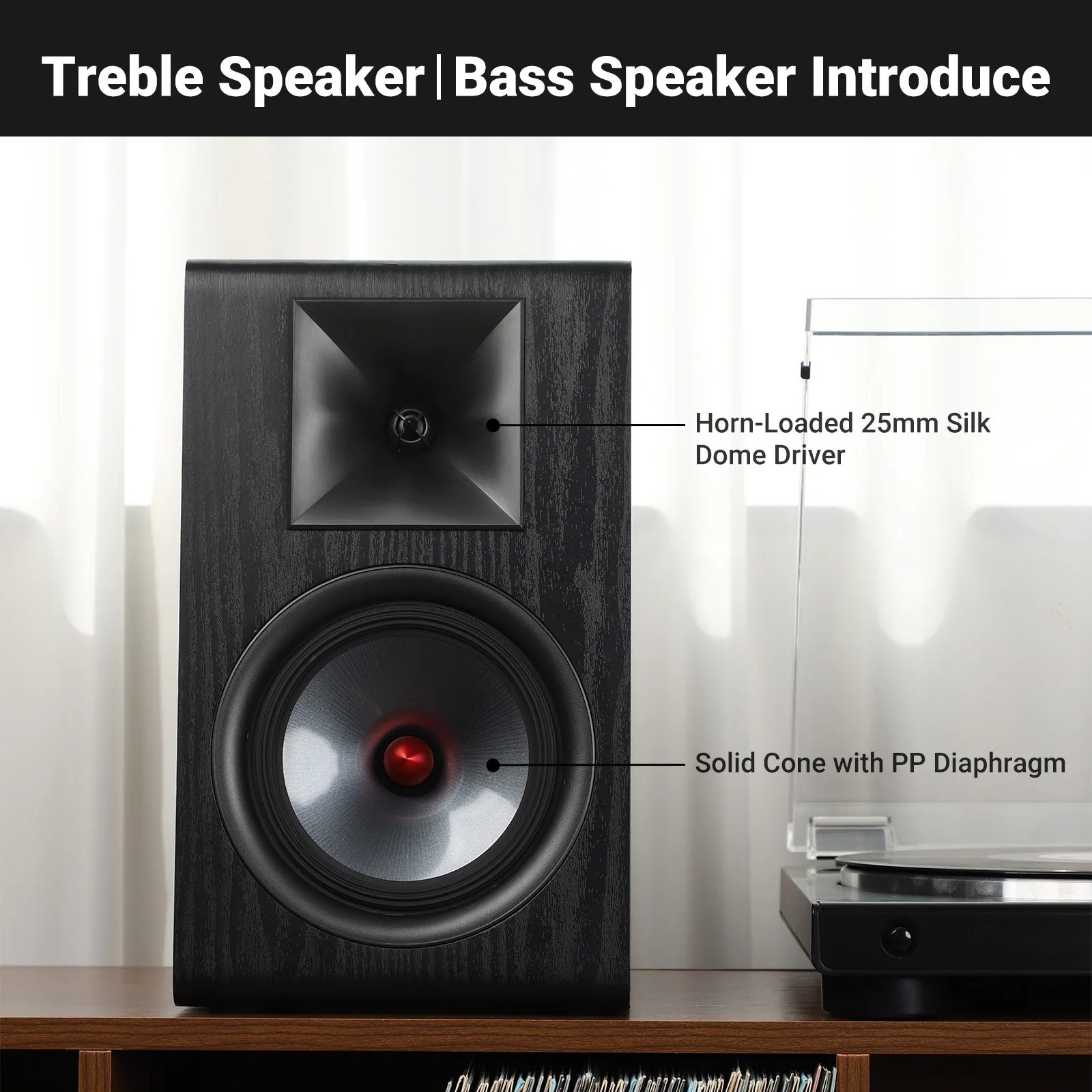 AIYIMA Audio P600 Passive Speaker 6.5 Inch Wood Carbon Fiber