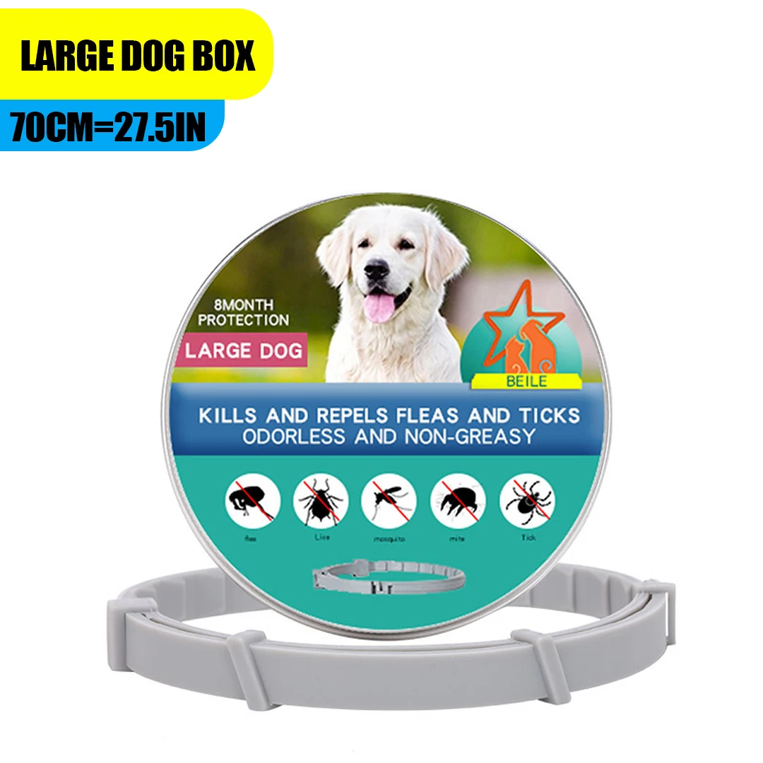 Large dog box