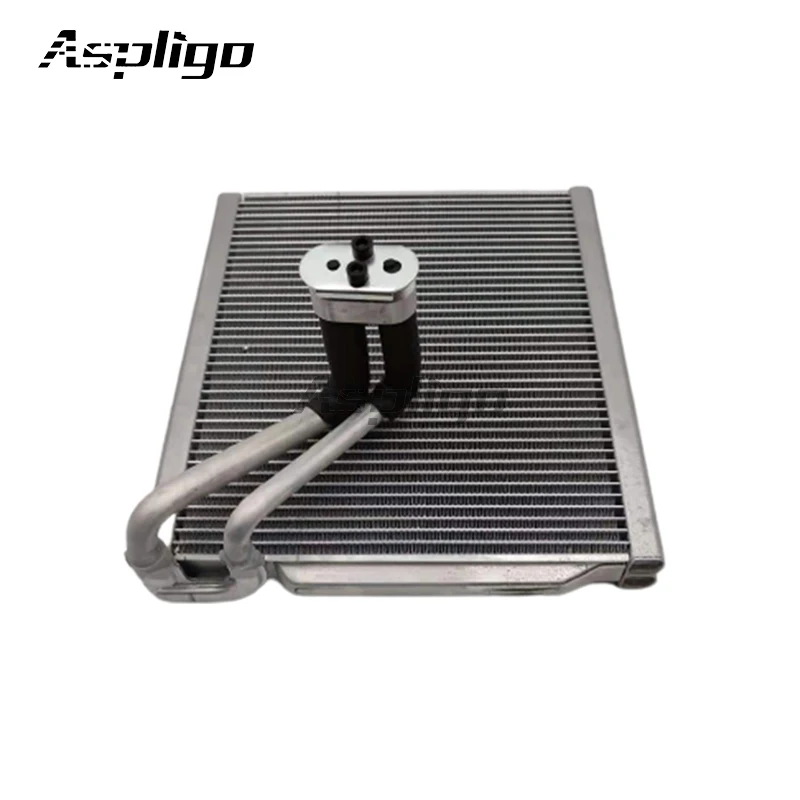 

Treeligo Car Automotive Air Conditioner Evaporator Automobike Ac for HYUNDAI SANTAFEE ELANTRA Kia FORTE EV211004 971392W000