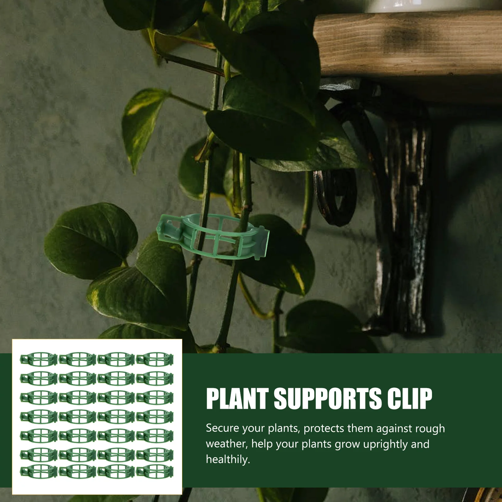 200-Pcs-Plastic-Vines-Garden-Rattan-Clips-Plastic-Support-Clamp-Stem-Supports-Orchid-Vine.jpg 200 Db Műanyag Szőlő Kerti Rattan Klipek Tartó Bilincs Szárát Támogatja Az Orchidea - Image 5