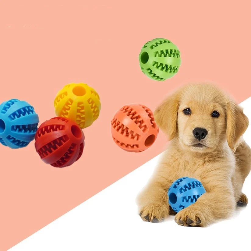 Interactive Dog Puzzle Balls 5