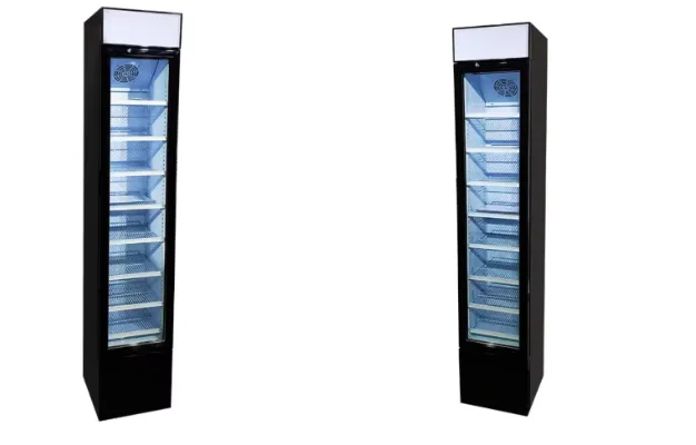 Commercial Glass Door Upright Freezer Refrigerator for Household Hotel Use Beverage Showcase Cooler Display Small Frozen Cabinet