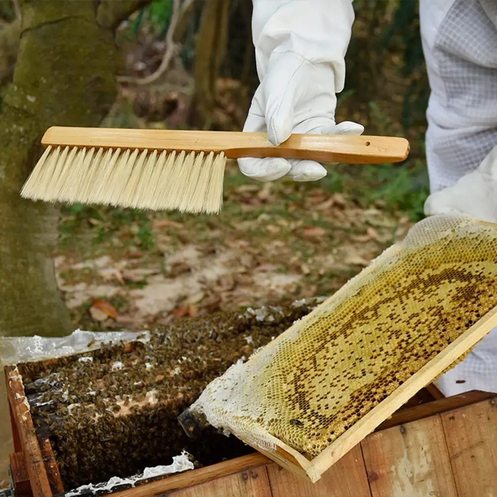 Grattoir Ruche Apiculture En Acier Inoxydable 304 - Outil Polyvalent Pour Cadres Et Propolis