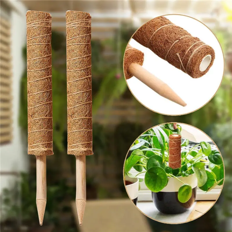 Plant Climbing Pole Coir Totem Plant Support Moss Palm Vines Coco